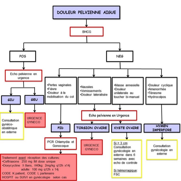 Gynécologie Urgences Urgence CHU SainteJustine