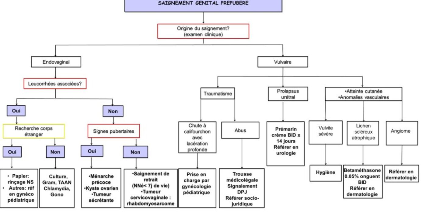Algodxtx saignement vaginal prepubere FINAL 20160729 modif 2018FIN