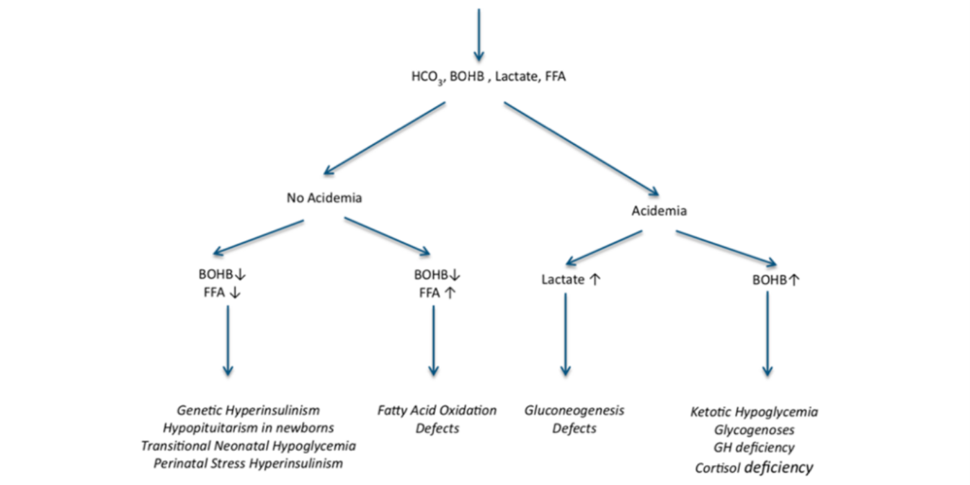 Algorithme dx hypogly selon investigations Pediatric Endocrine Society 2015
