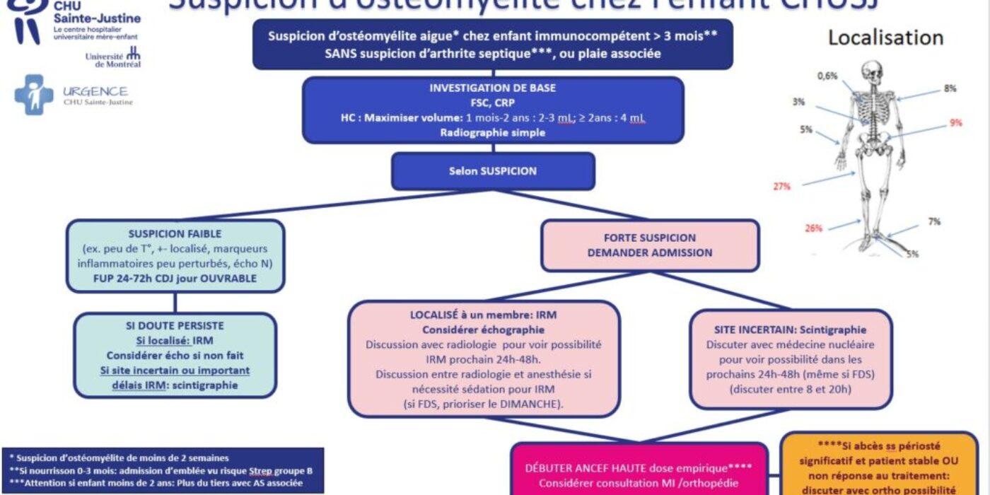 Algorithme investigation ostéomyélite CHUSJ 20231206