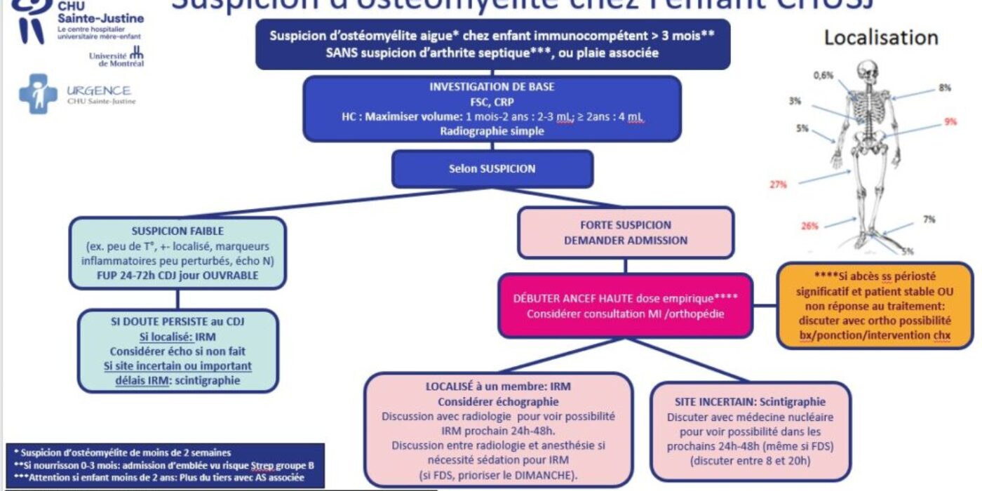 Algorithme investigation ostéomyélite CHUSJ 20231214