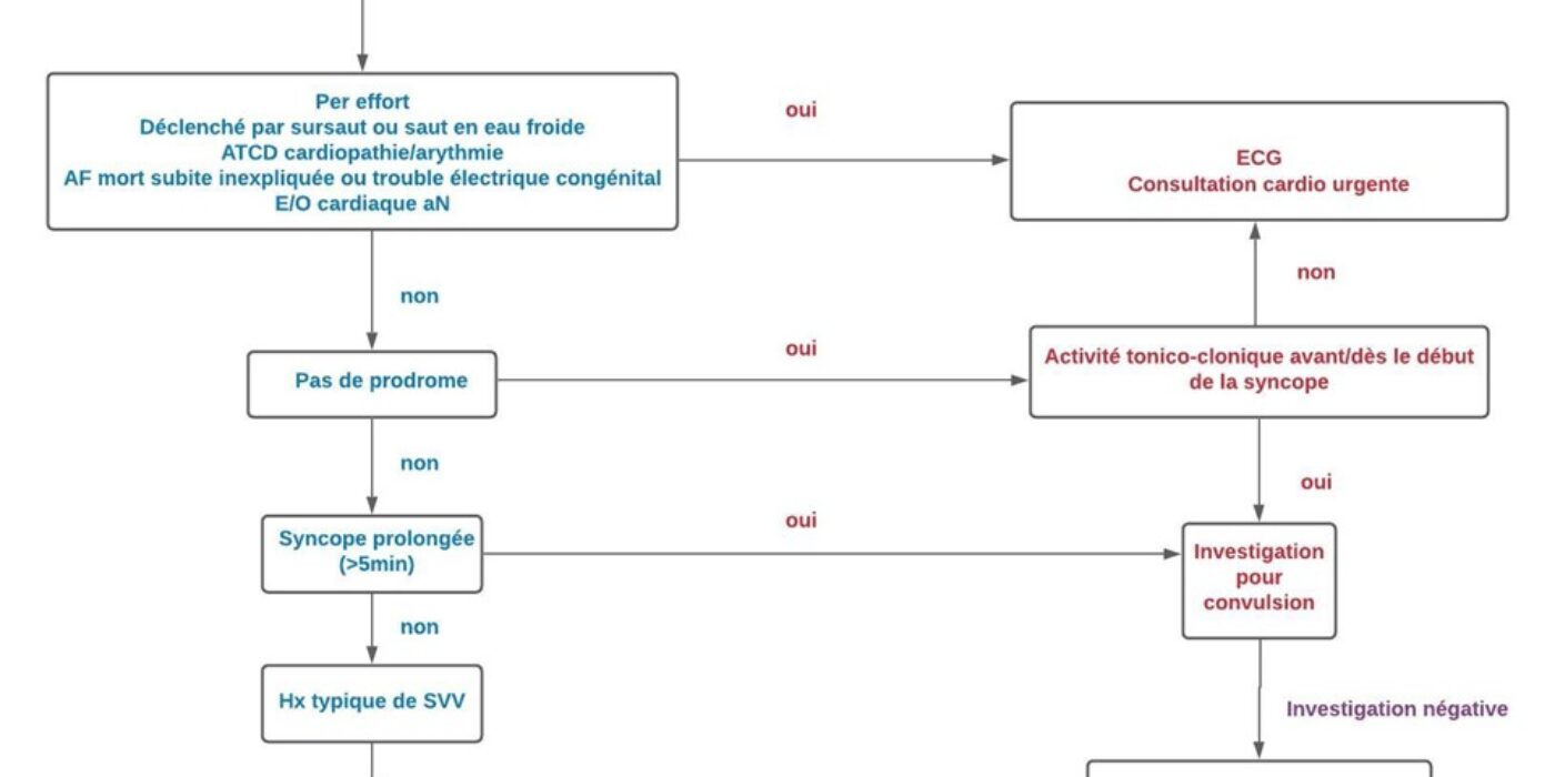 Algorithme investigations syncope