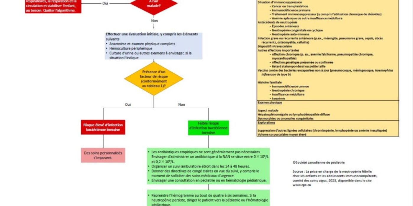 Algorithme neutropénie de la SCP