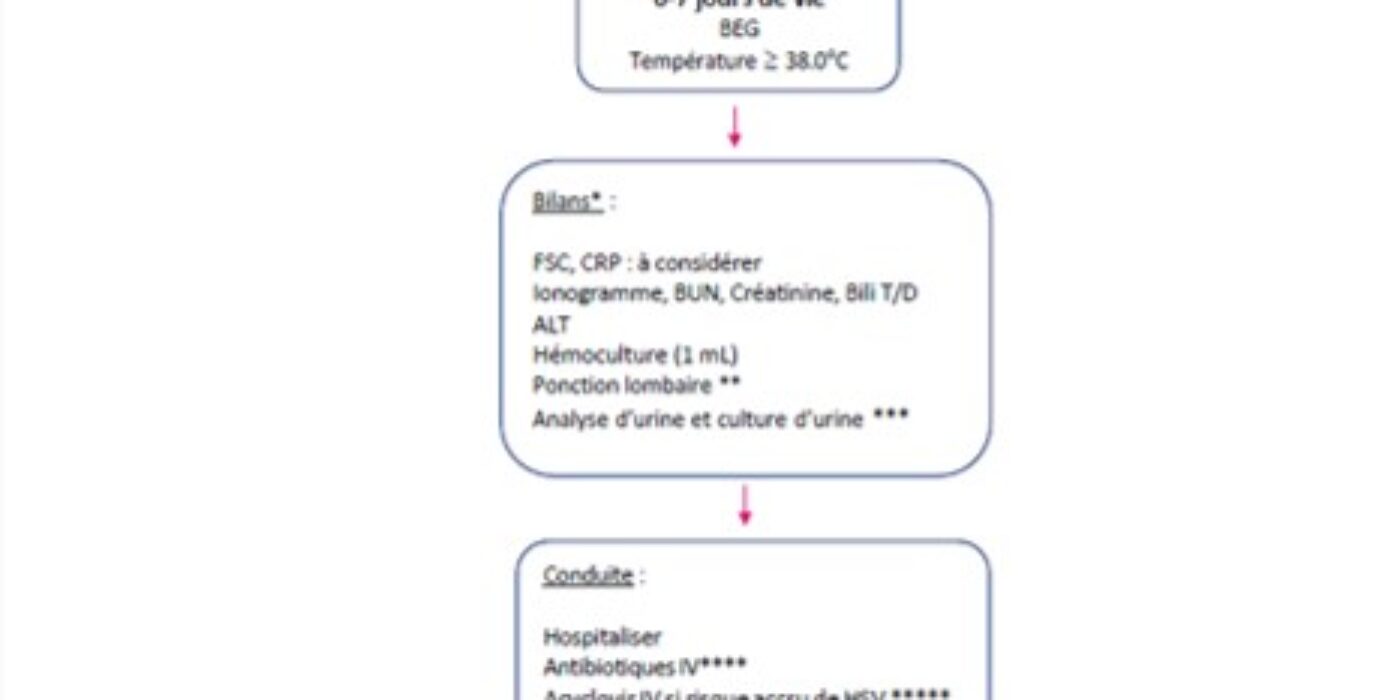 Algorithme nourrisson 0-7 jours fébrile