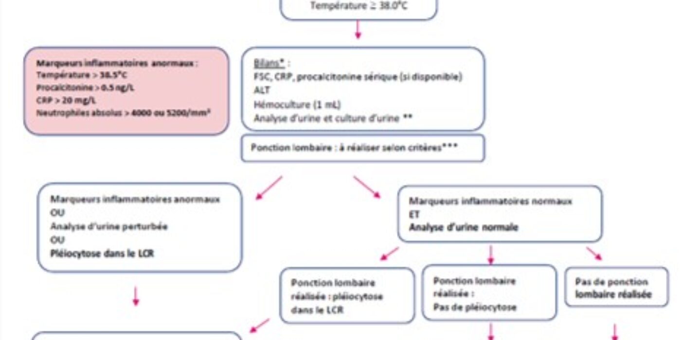 Algorithme nourrisson 22-28 jours fébrile