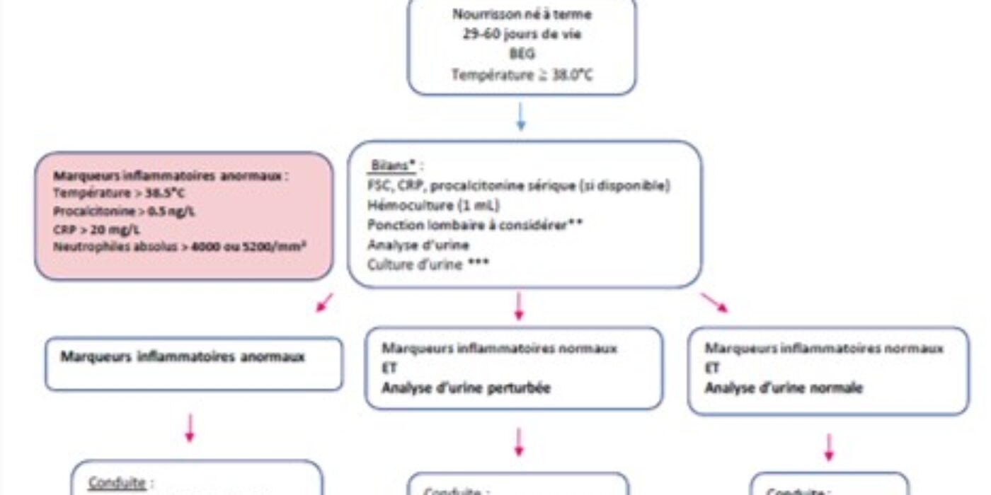 Algorithme nourrisson 29-60 jours fébrile