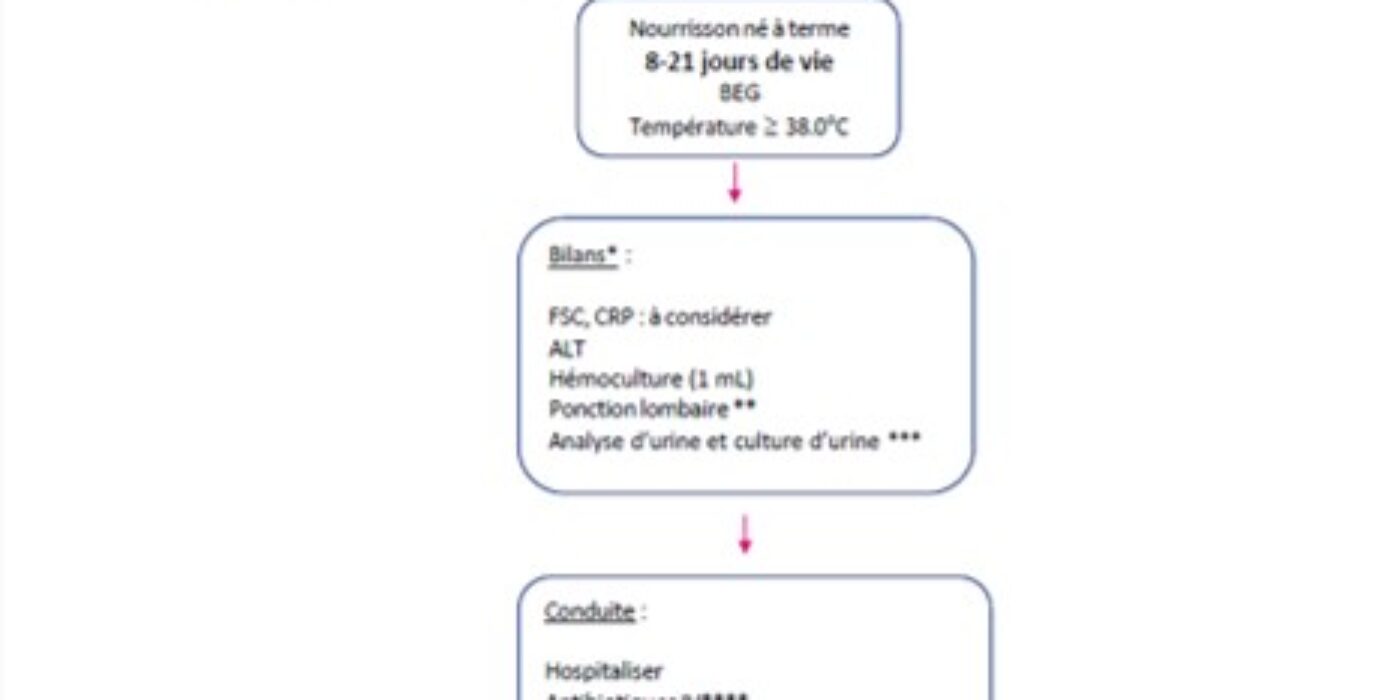 Algorithme nourrisson 8-21 jours fébrile