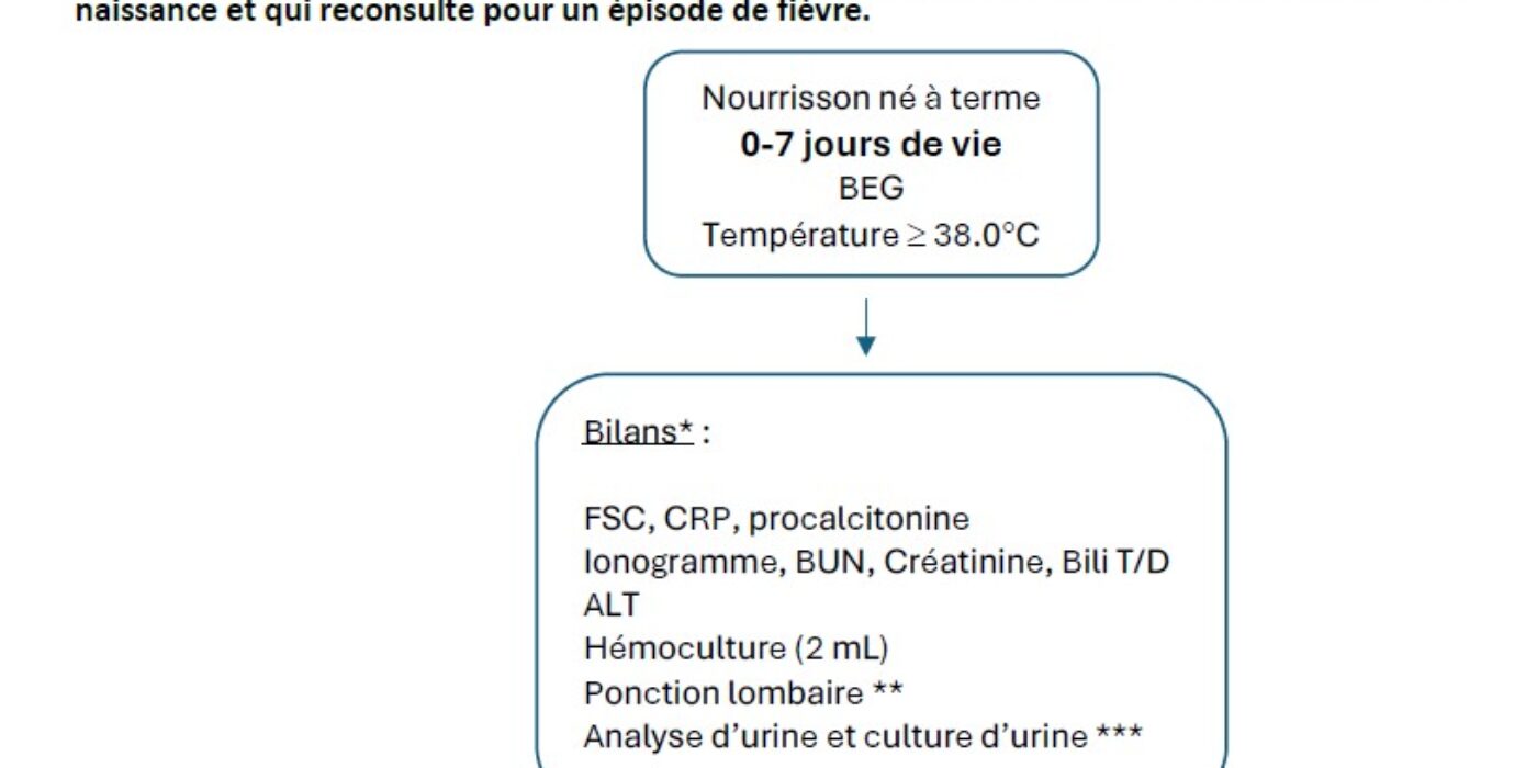 Algorithme nourrisson fébrile 0-7 jours de vie 202502