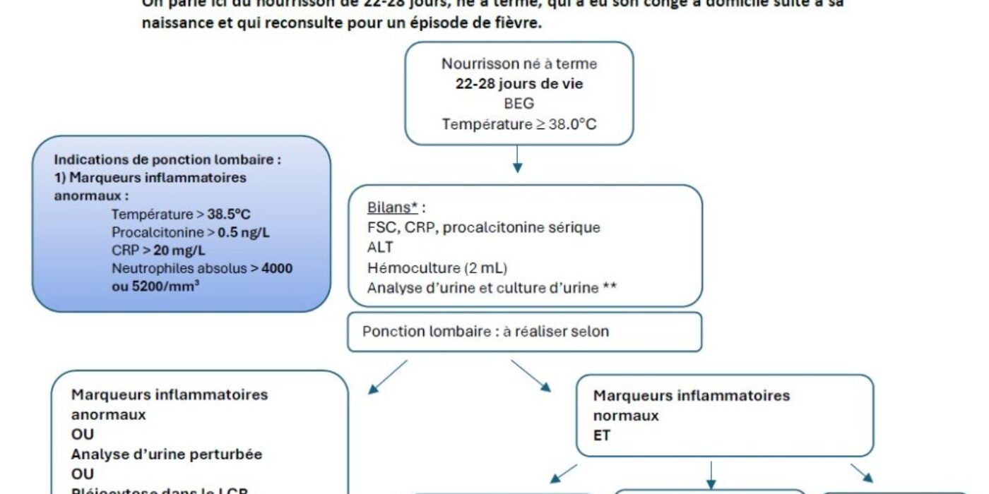 Algorithme nourrisson fébrile 22-28 jours de vie 202502