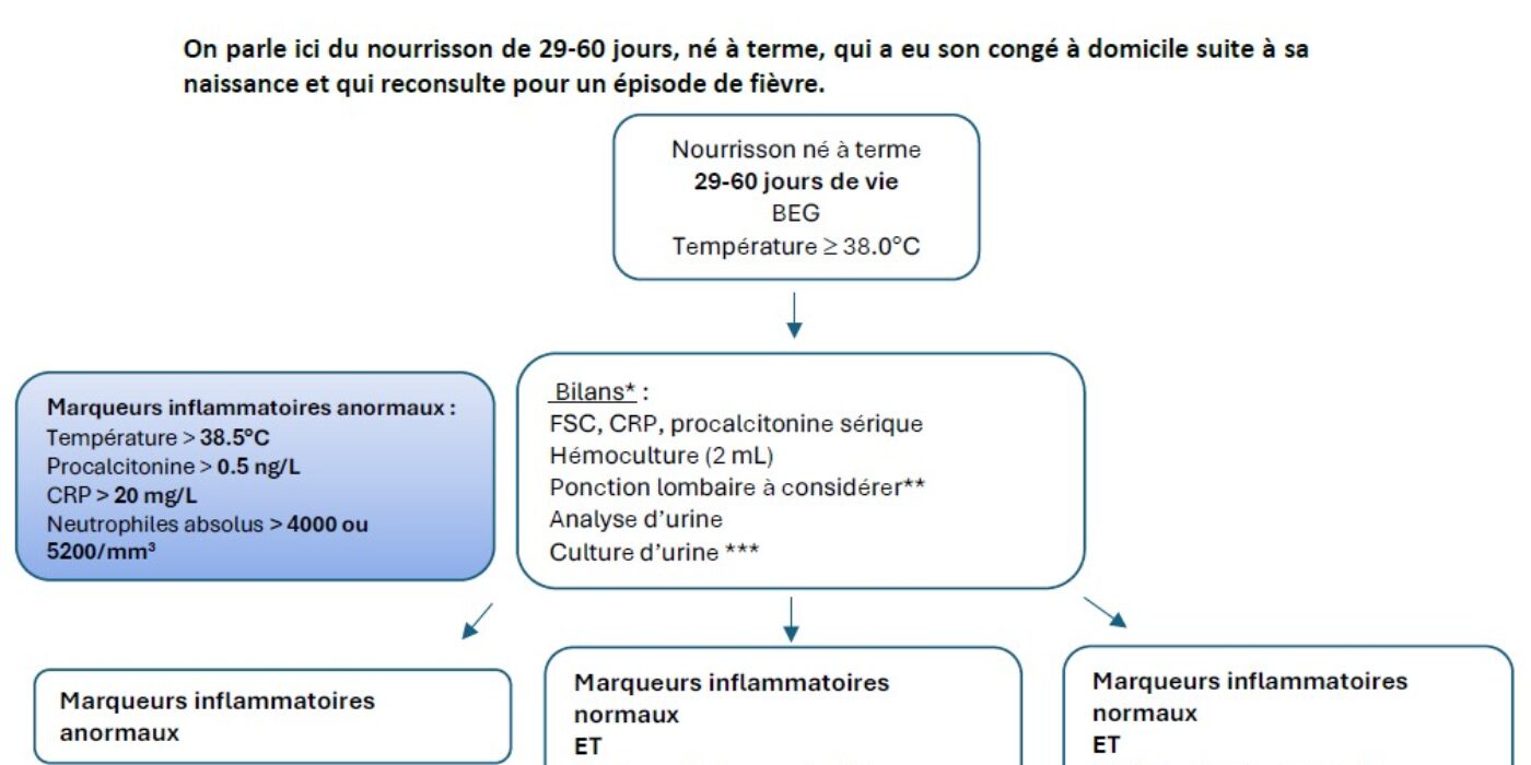 Algorithme nourrisson fébrile 29-60 jours de vie 202502