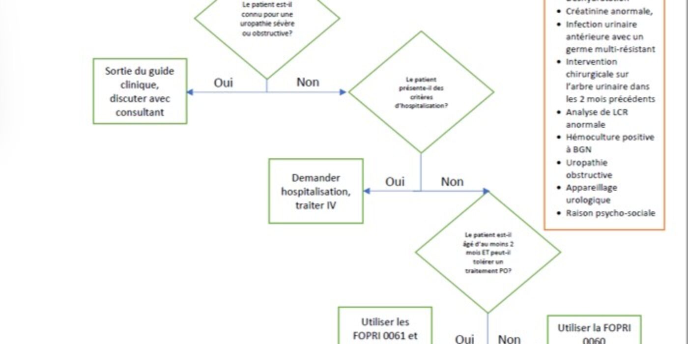 Algorithme prise en charge infection urinaire 20230111 partie 2