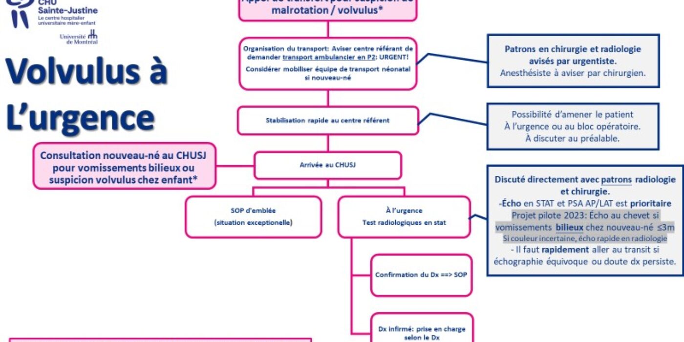 Algorithme prise en charge volvulus et urgence 20230316