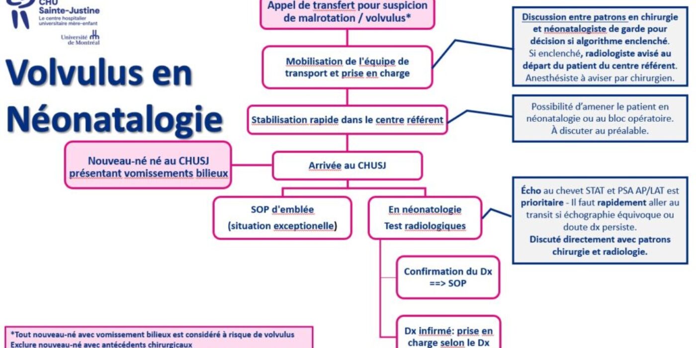 Algorithme prise en charge volvulus néonat MISE À JOUR 20231208