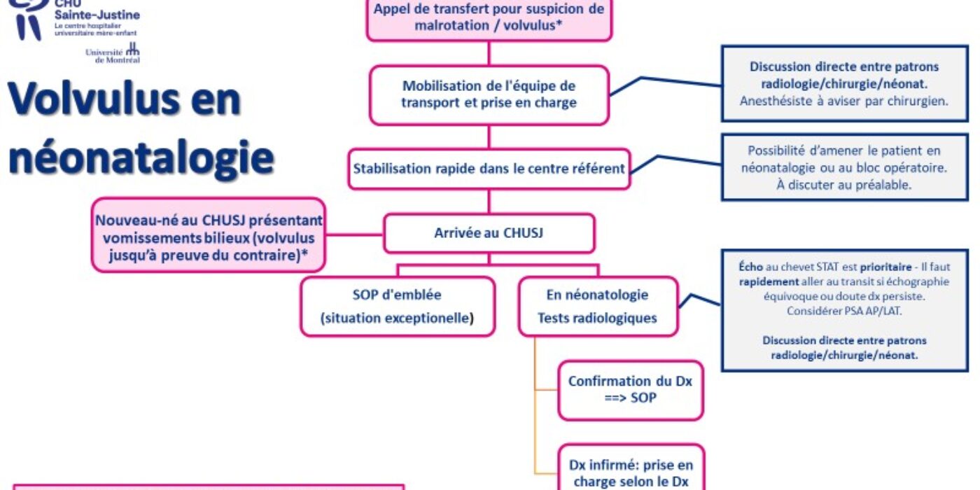 Algorithme prise en charge volvulus néonat 20221113