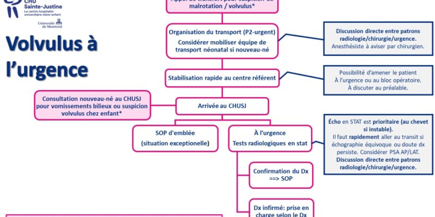 Algorithme prise en charge volvulus urgence 20221111