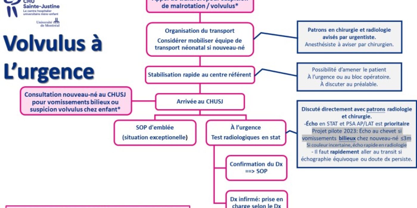 Algorithme prise en charge volvulus urgence 20230315