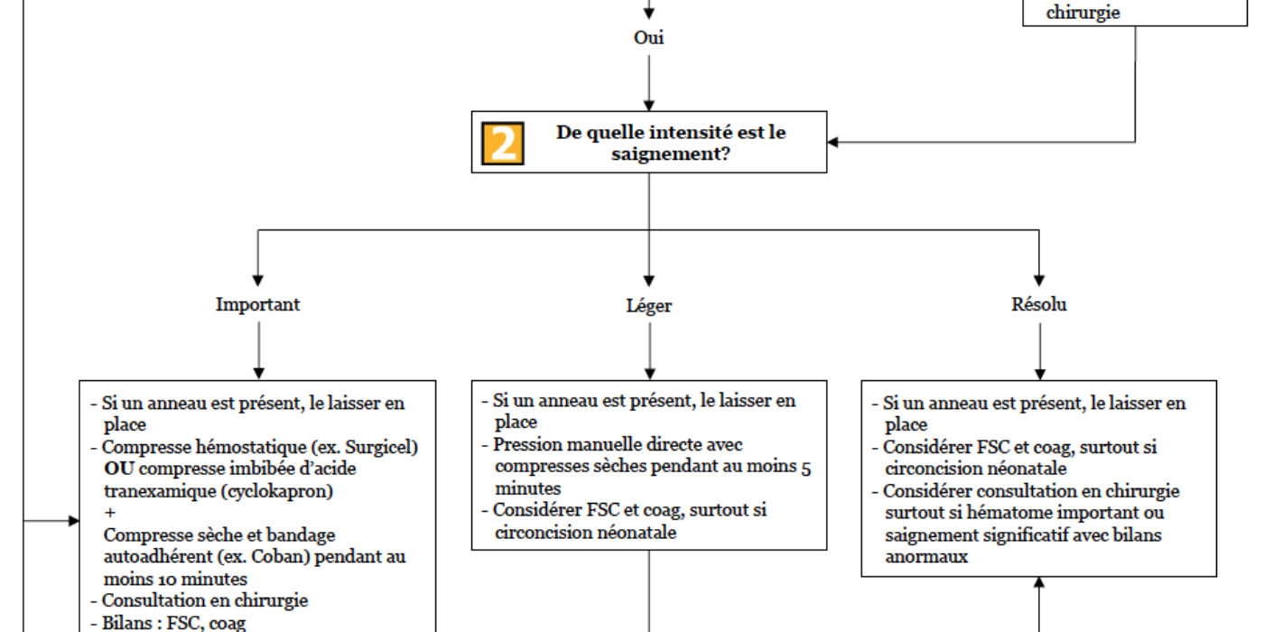 Algorithme sgt 10 avril 2021