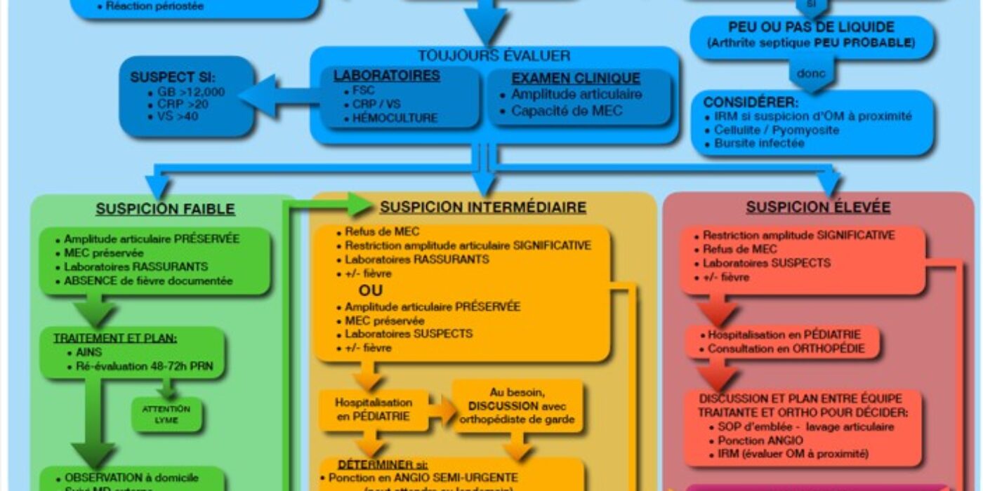 Algorithme suspicion arthrite septique