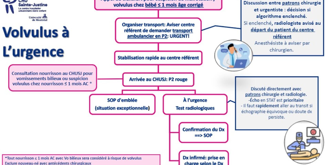 Algorithme urgence 2024 05