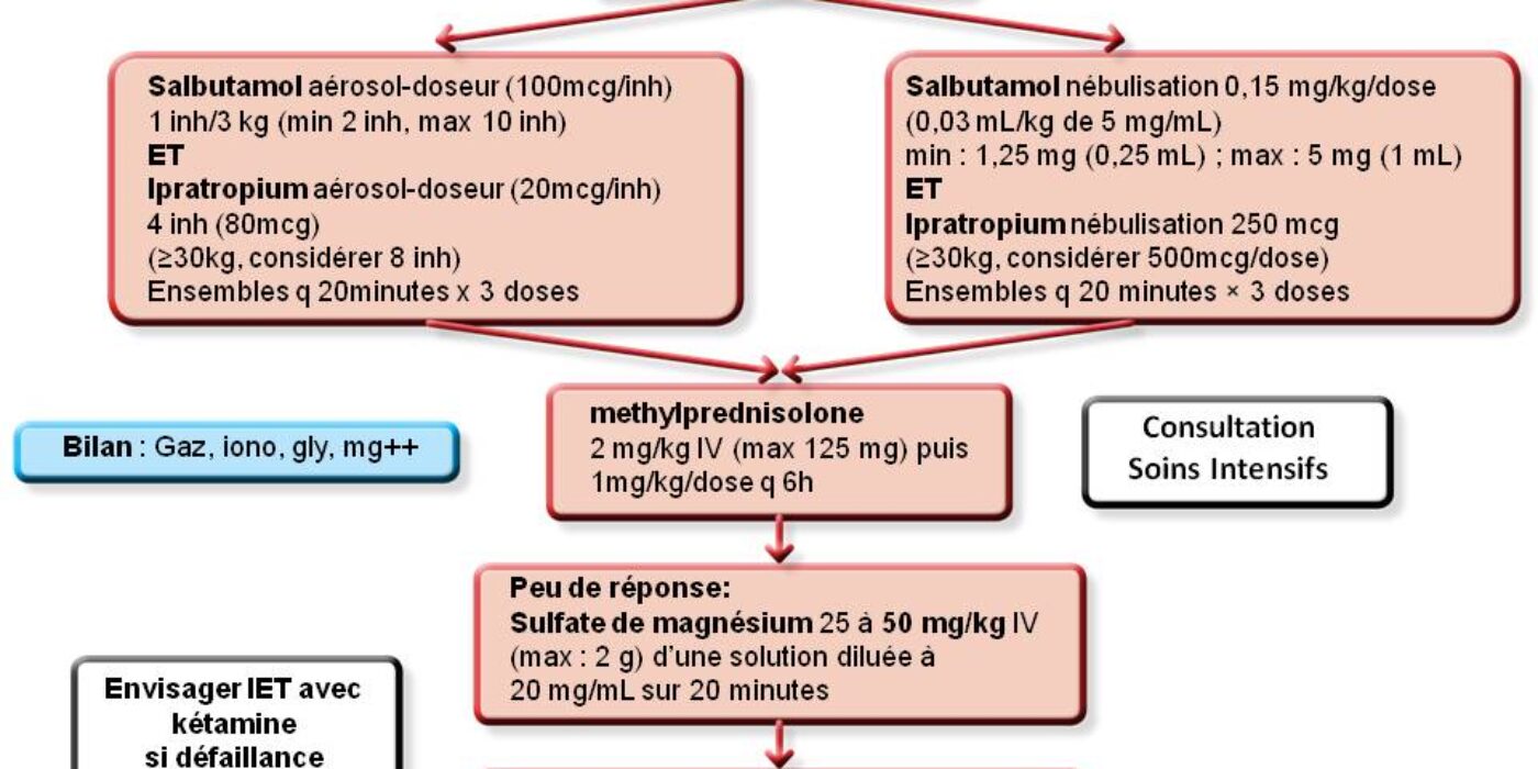Algorythme Status Asthmaticus