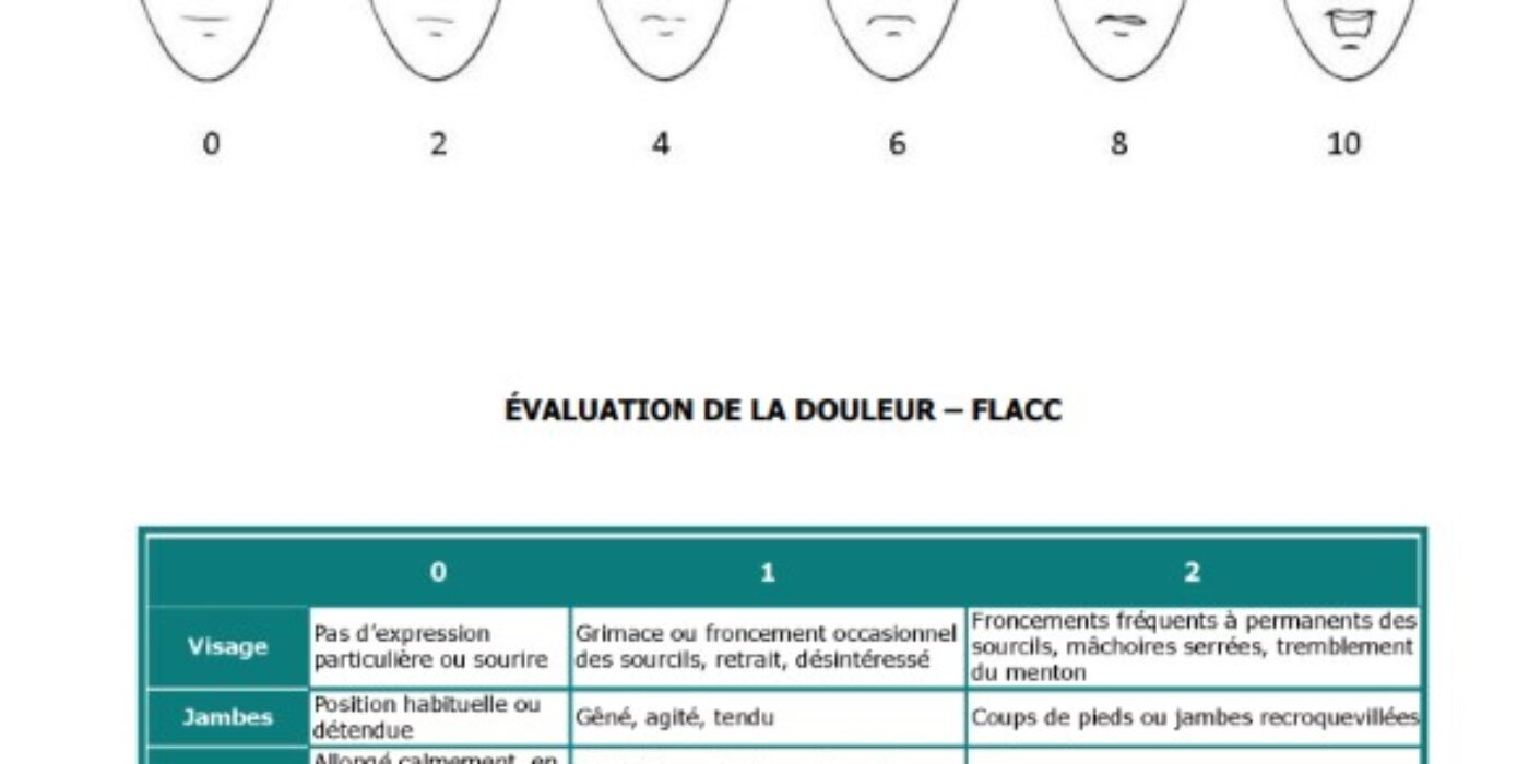 Annexe 2 évaluation douleur FOPR 1523