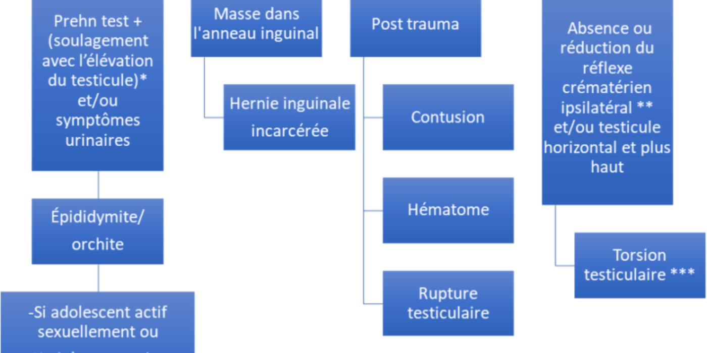 Dlr OEDEME Tuméfaction Orchite