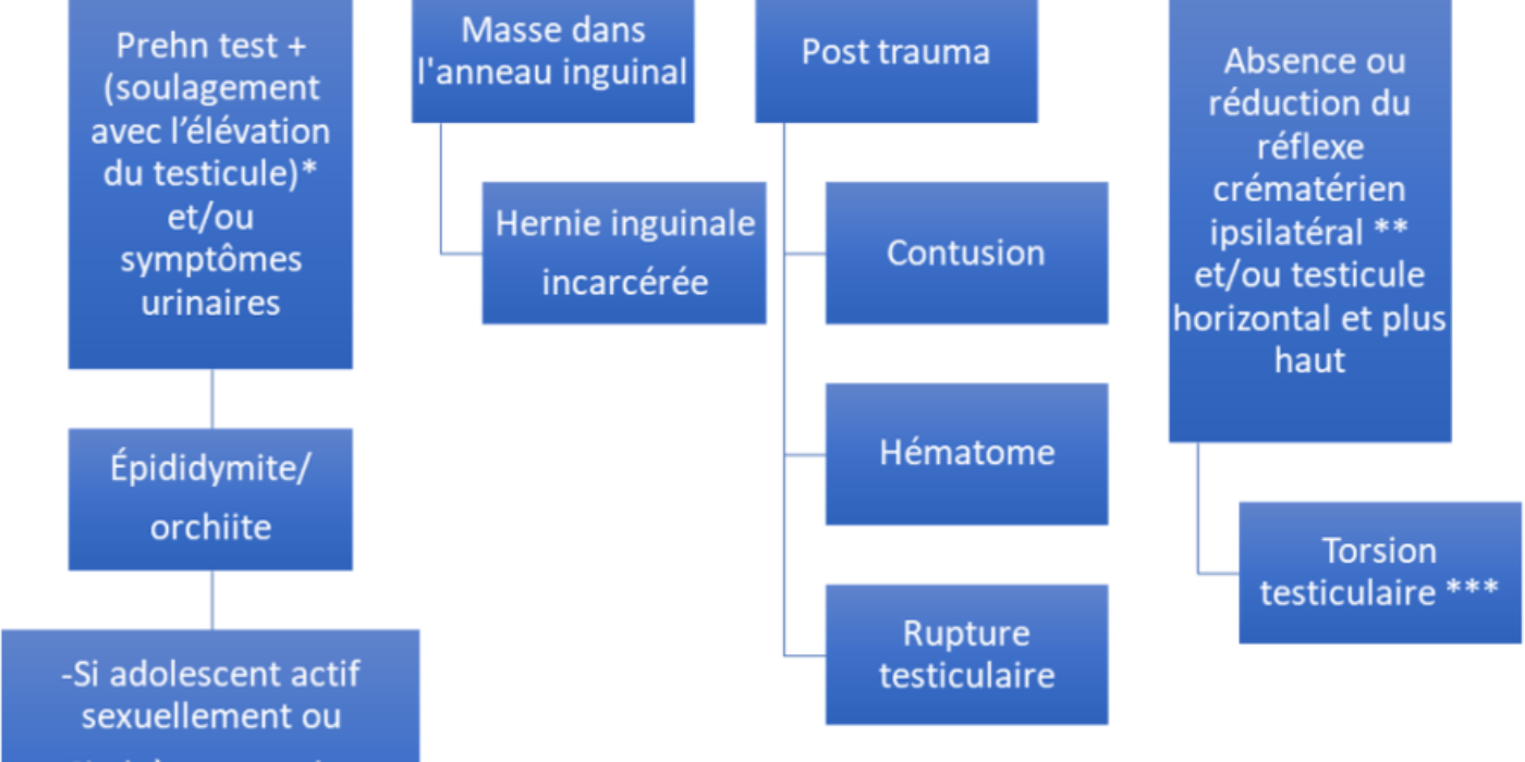 Dlr avec OEDEME Tuméfaction