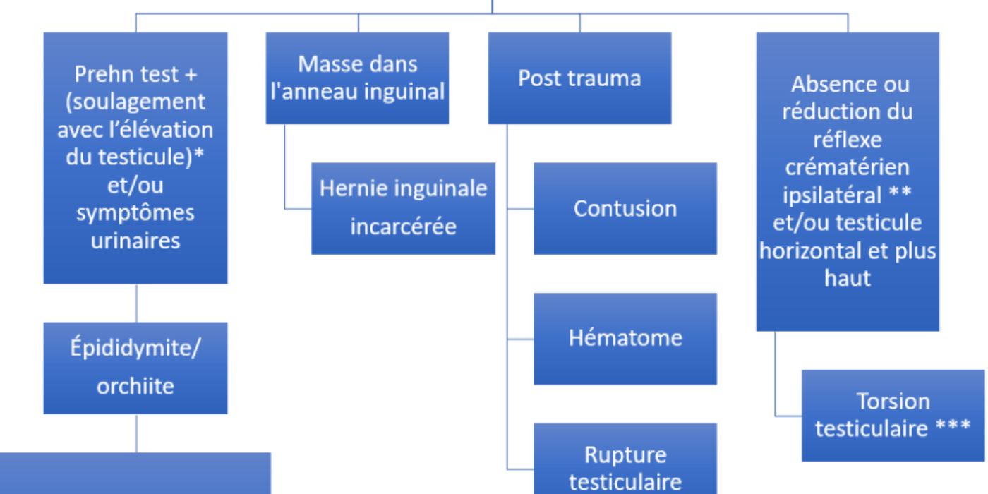 Dlr avec Tuméfaction