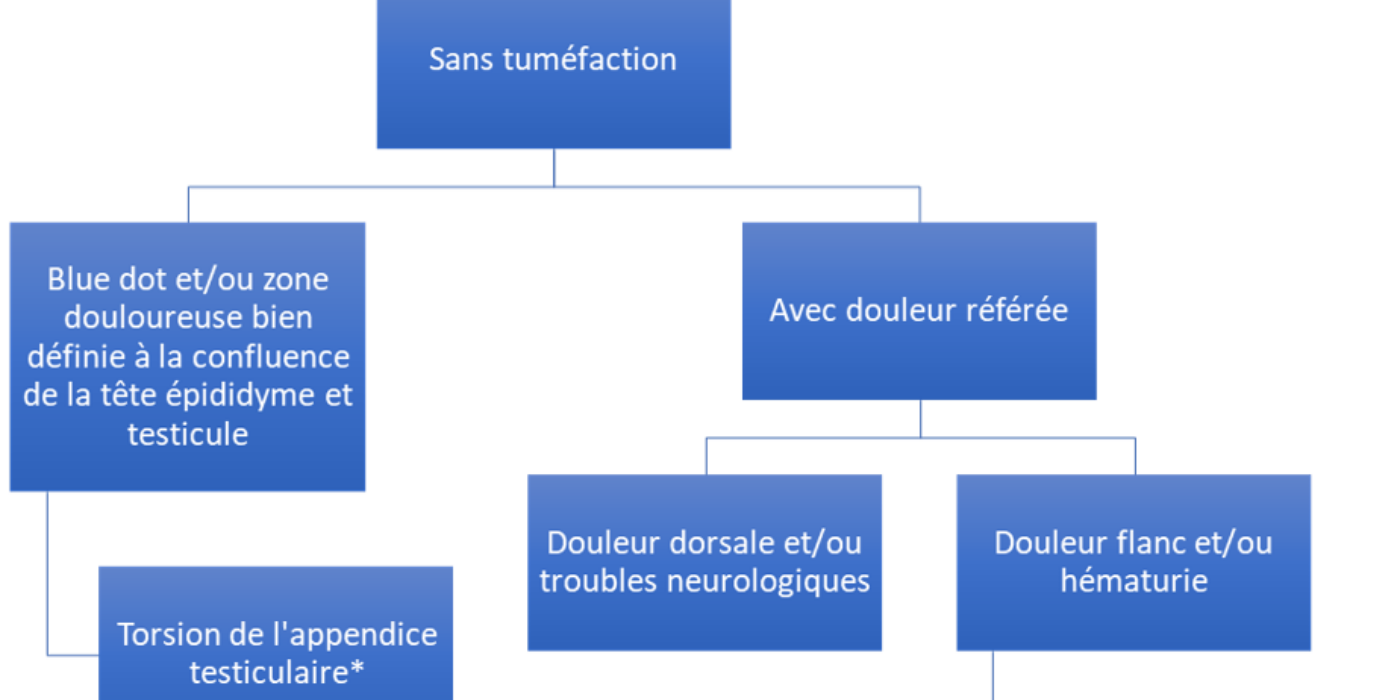 Douleur testiculaire 2