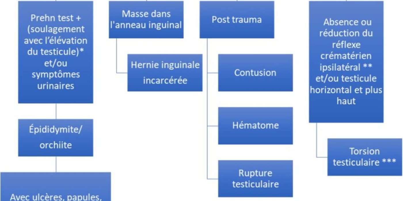 Douleur testiculaire