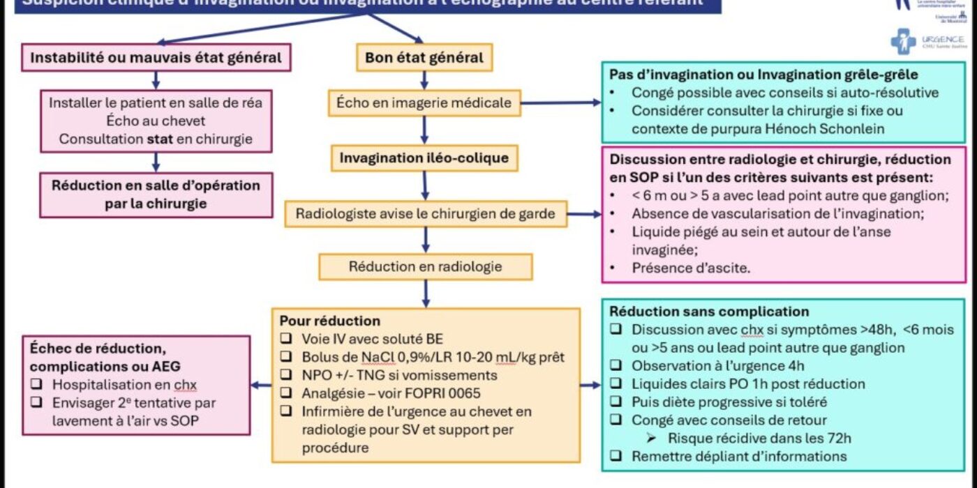 Invagination algorithme mis à jour 8 mai 2025