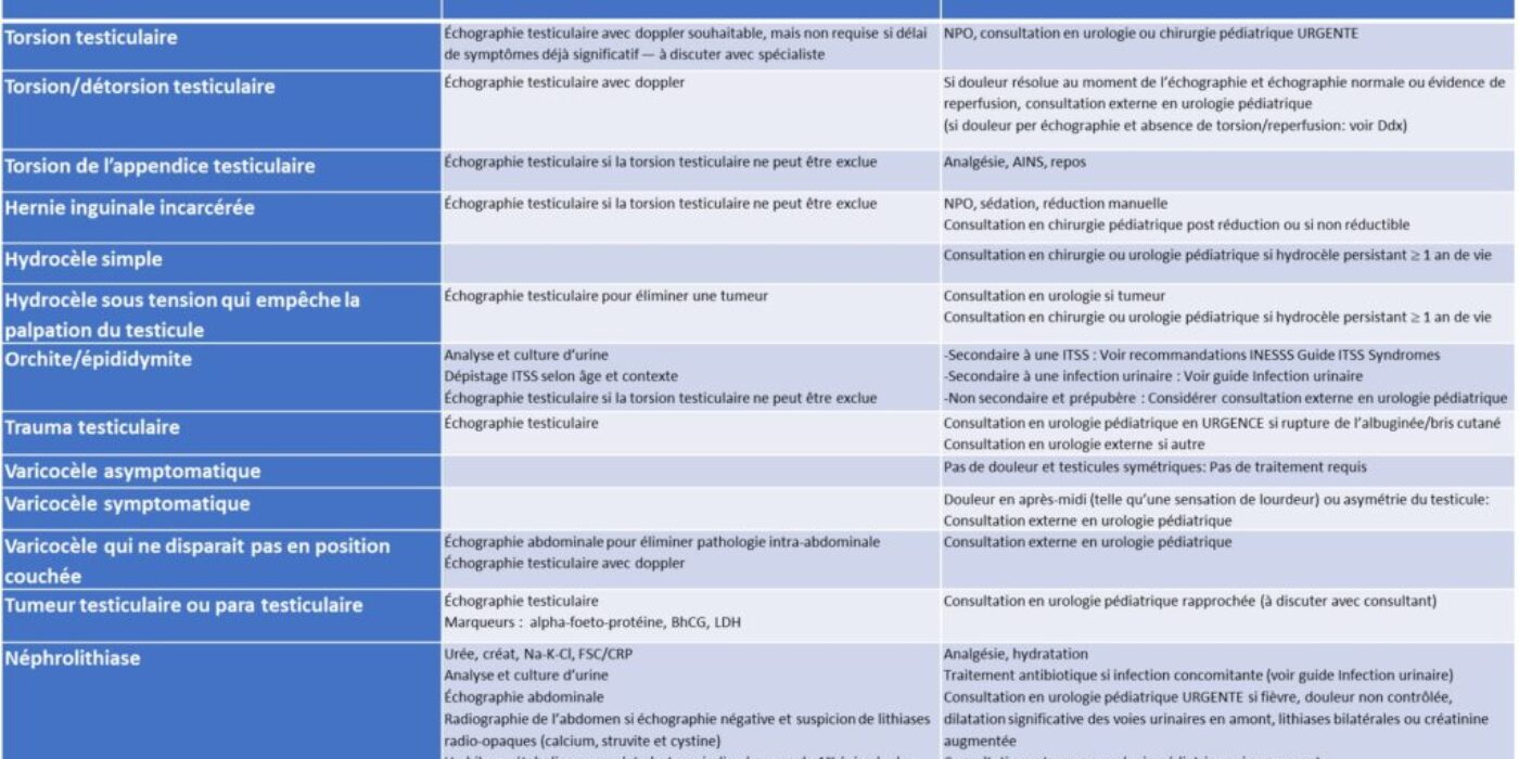 Investigations et tx dlr testis et oedeme tuméfaction FIN