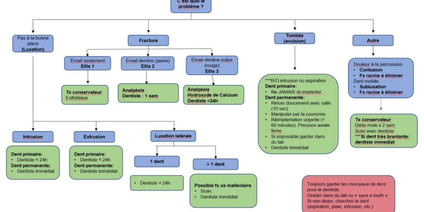 Prise en charge traumas dentaires 20210603