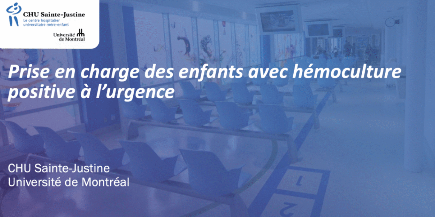 Screenshot 2026-02-09 at 12.22.29 PM