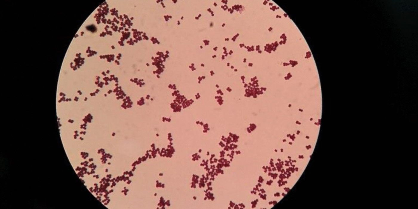 Screenshot 2026-02-09 at 12.24.24 PM