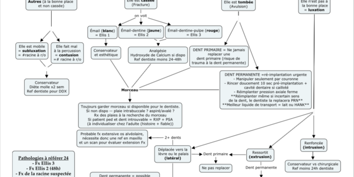 Trauma dentaire algo final (1) Remis 2019