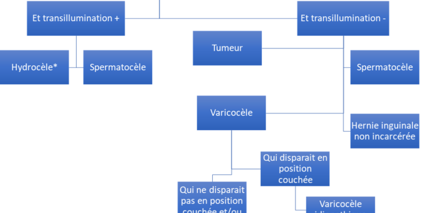 Tuméfaction testiculaire