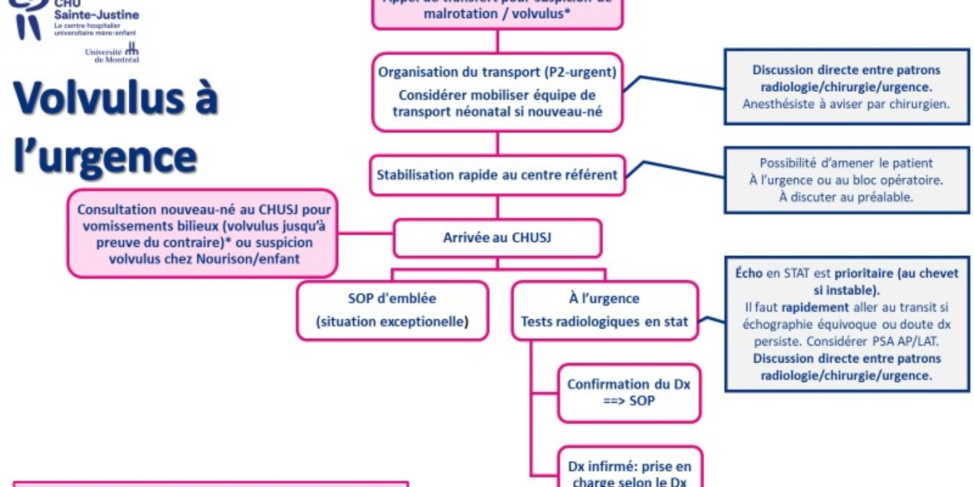 Volvulus à l'urgence 20221116