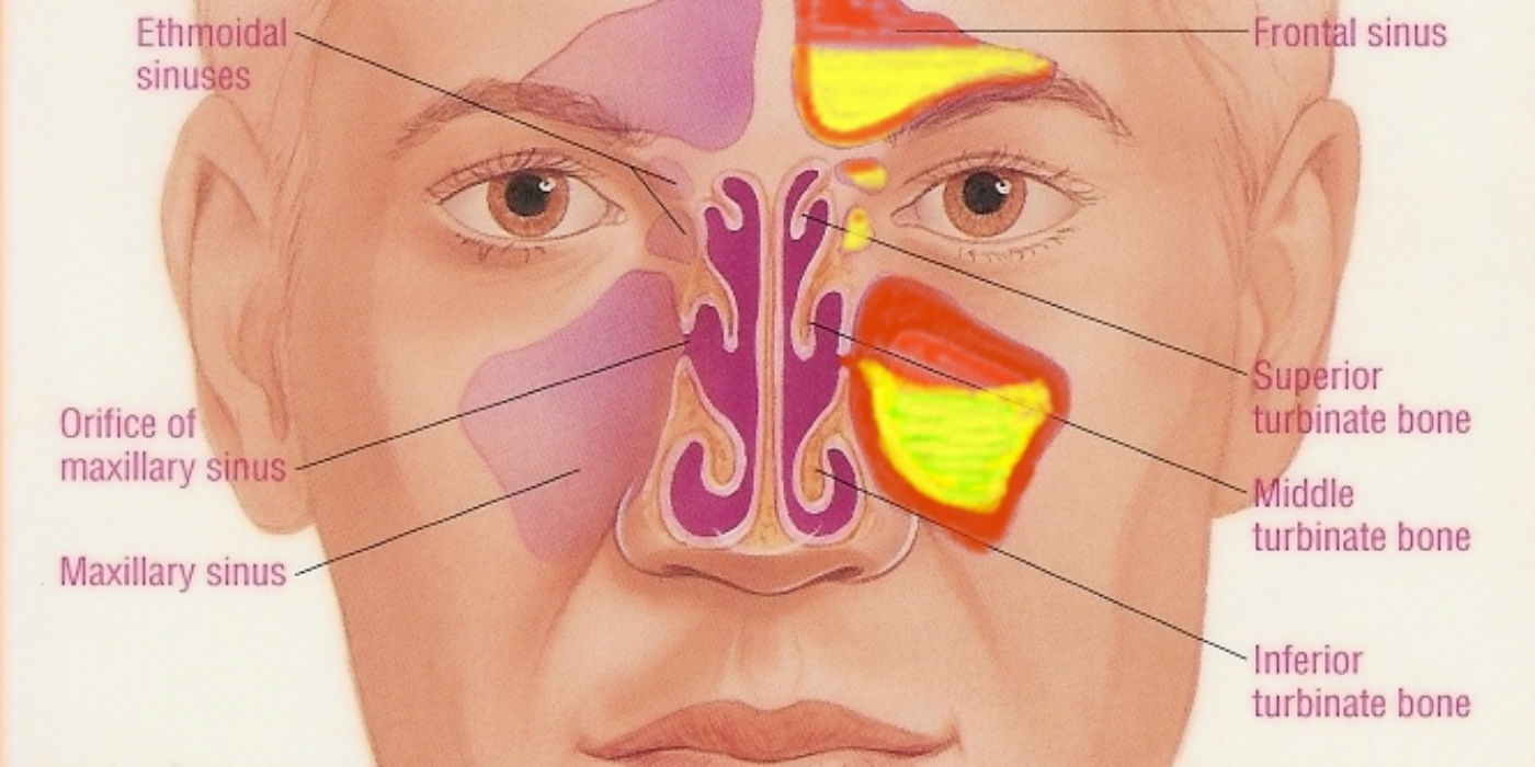 sinus Urgence CHU SainteJustine