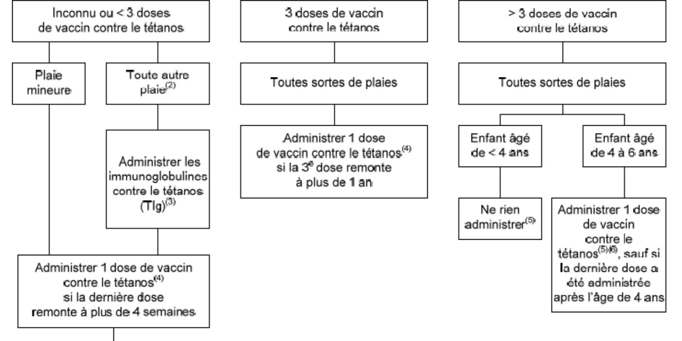 teta 2-6